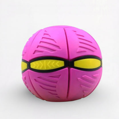 Frenlite-Pug-LED-Ball-Toy.jpg