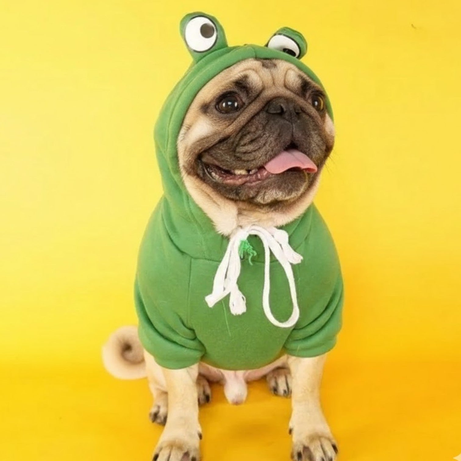 Froggie-Pug-Winter-Hoodie.jpg