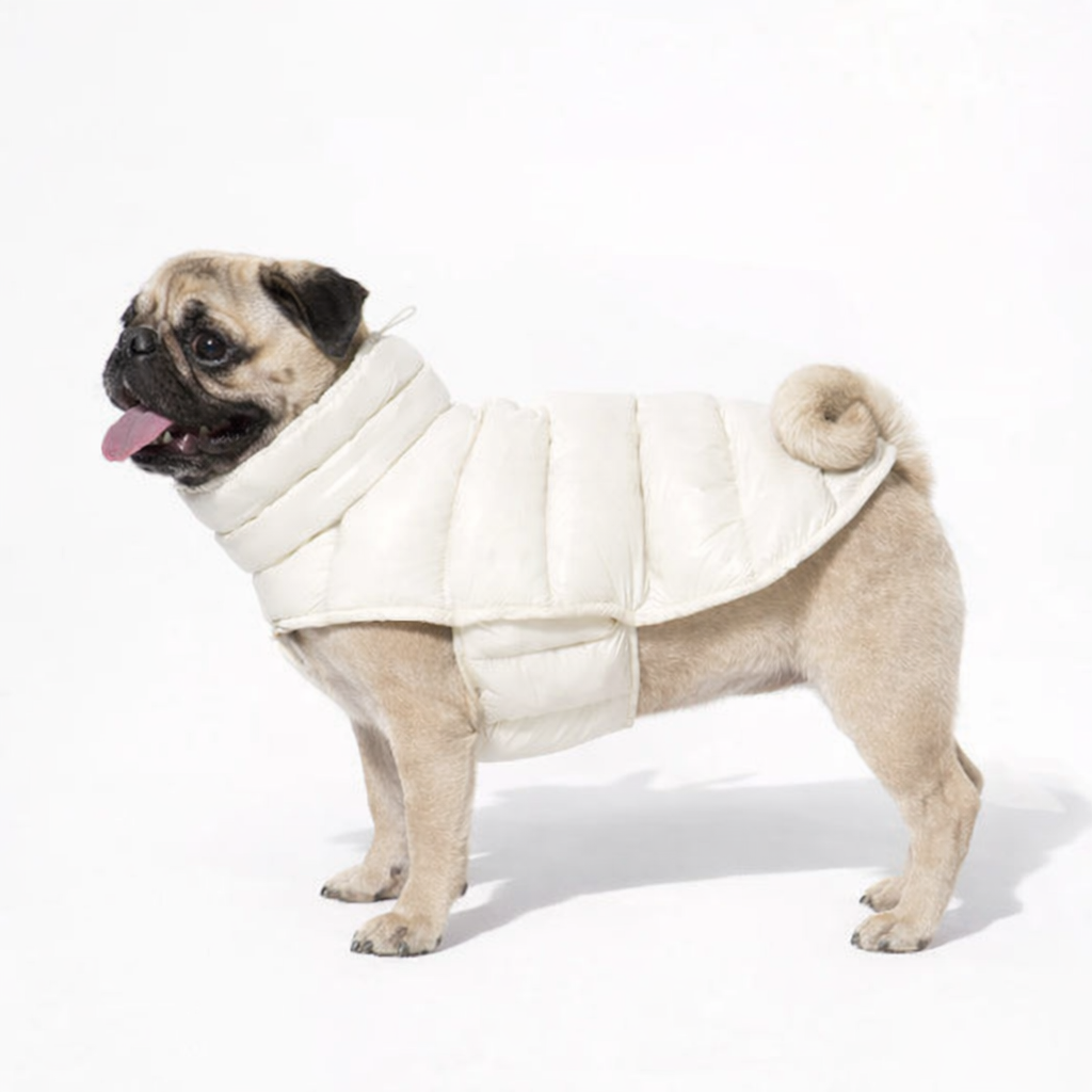 FrostCore-Pug-Winter-Jacket.jpg