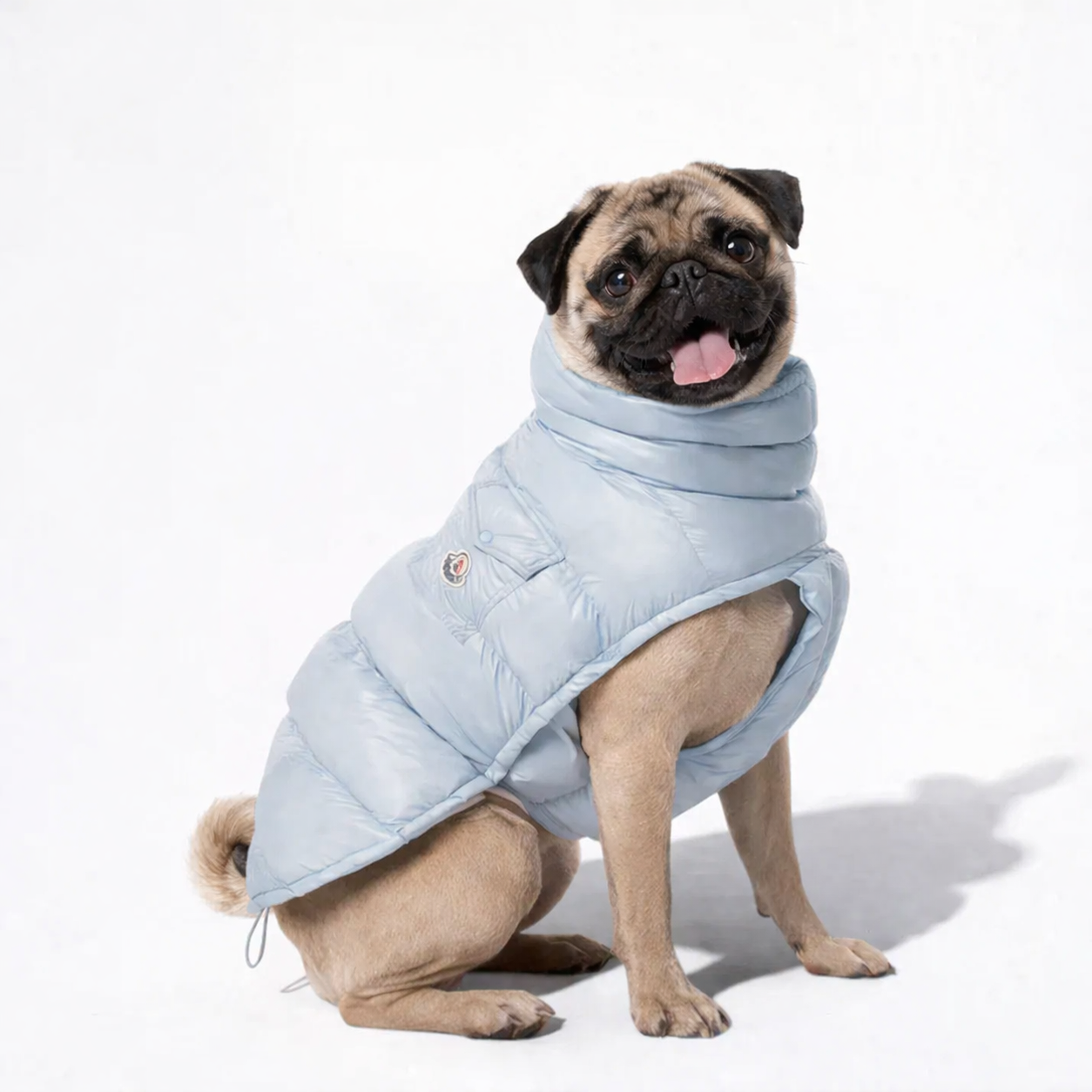 FrostCore-Pug-Winter-Jacket.jpg