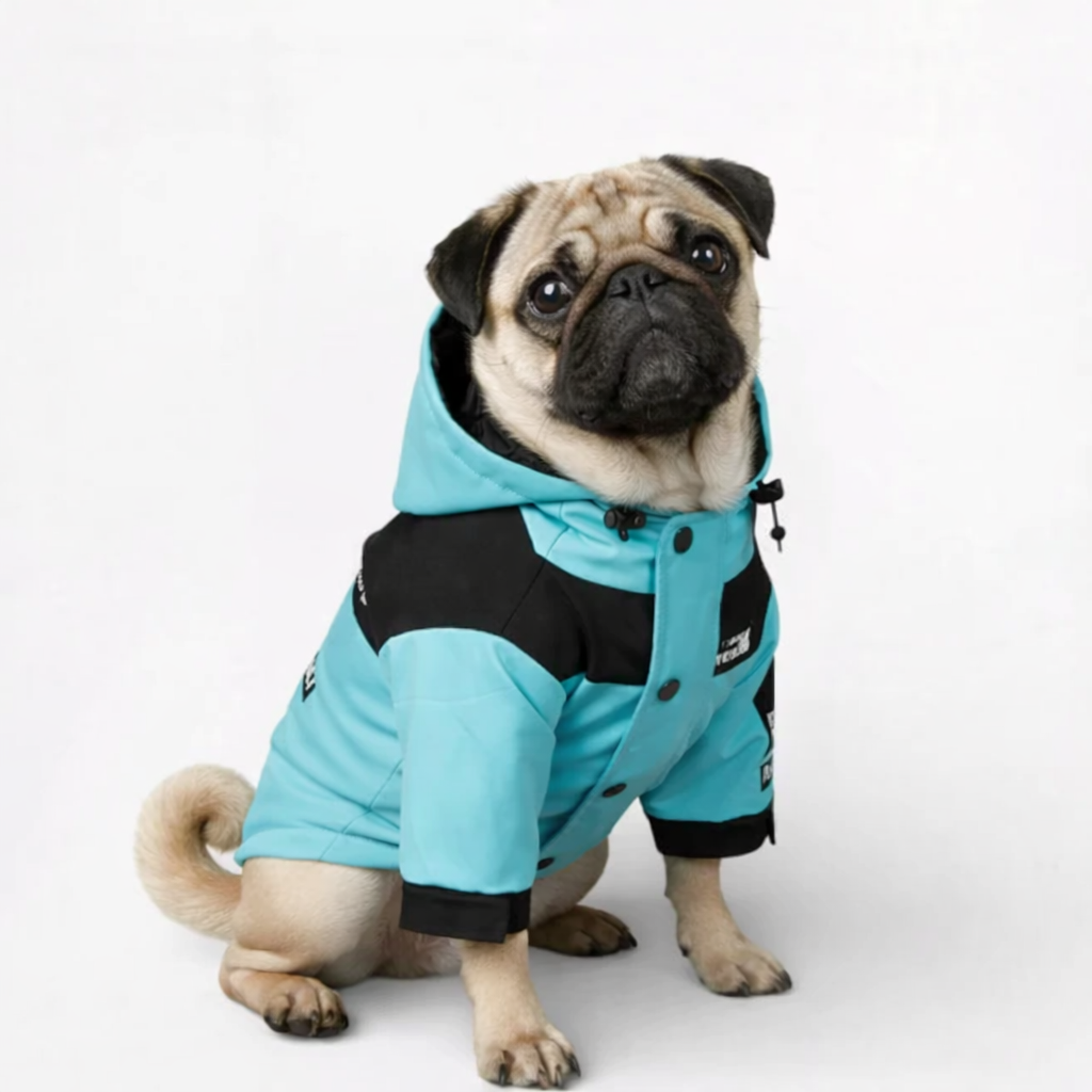 FrostPaw-Pug-Raincoat.jpg