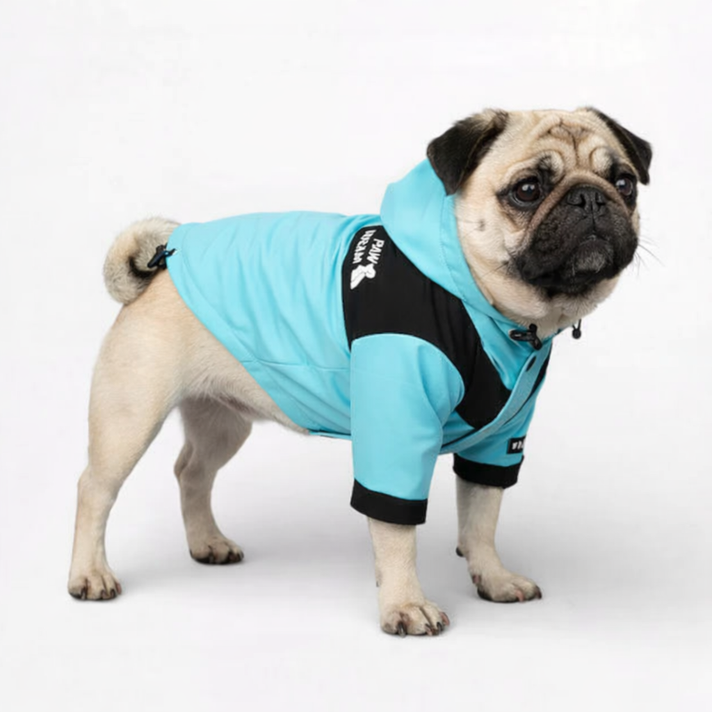 FrostPaw-Pug-Raincoat.jpg