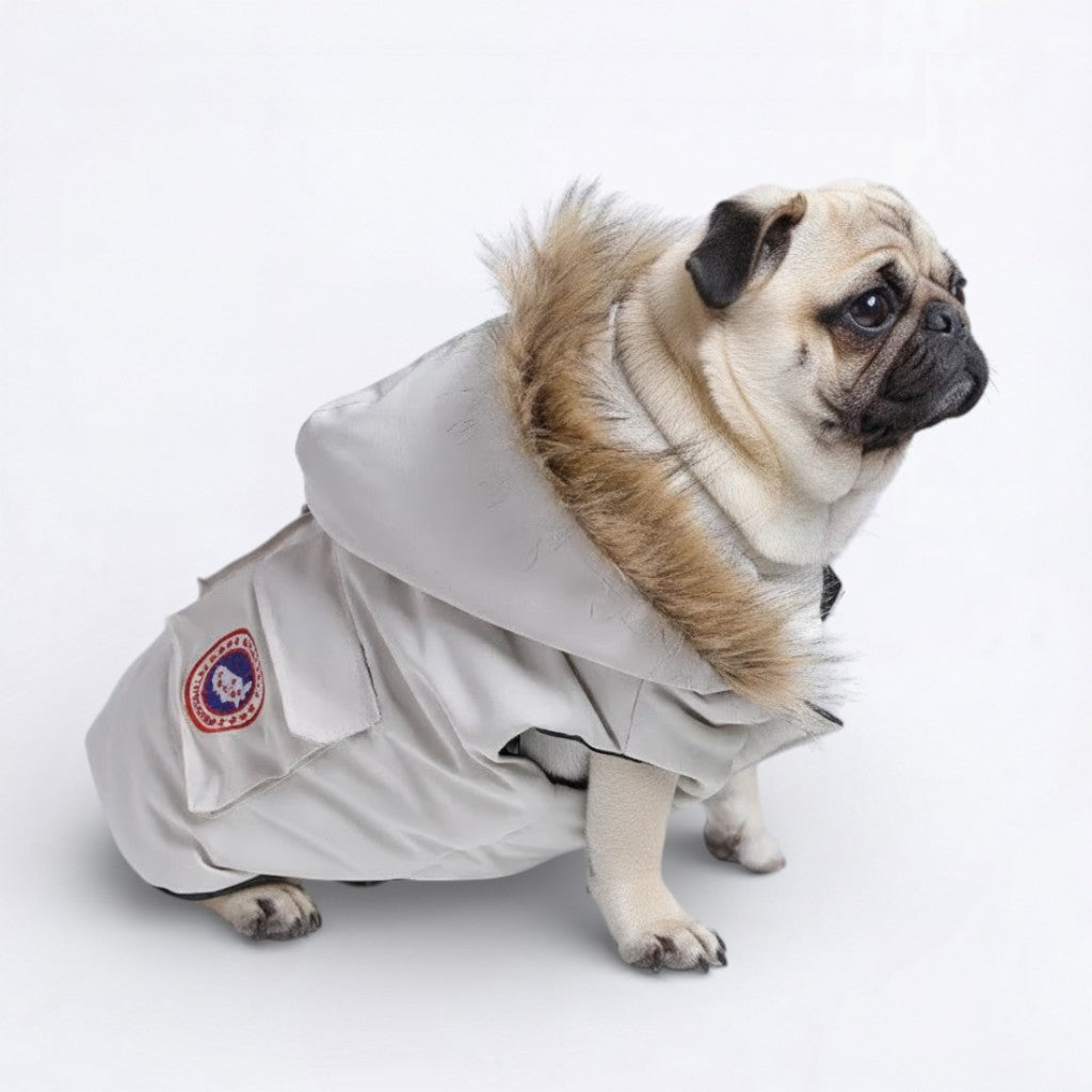 FrostPaw-Pug-Winter-Jacket.jpg