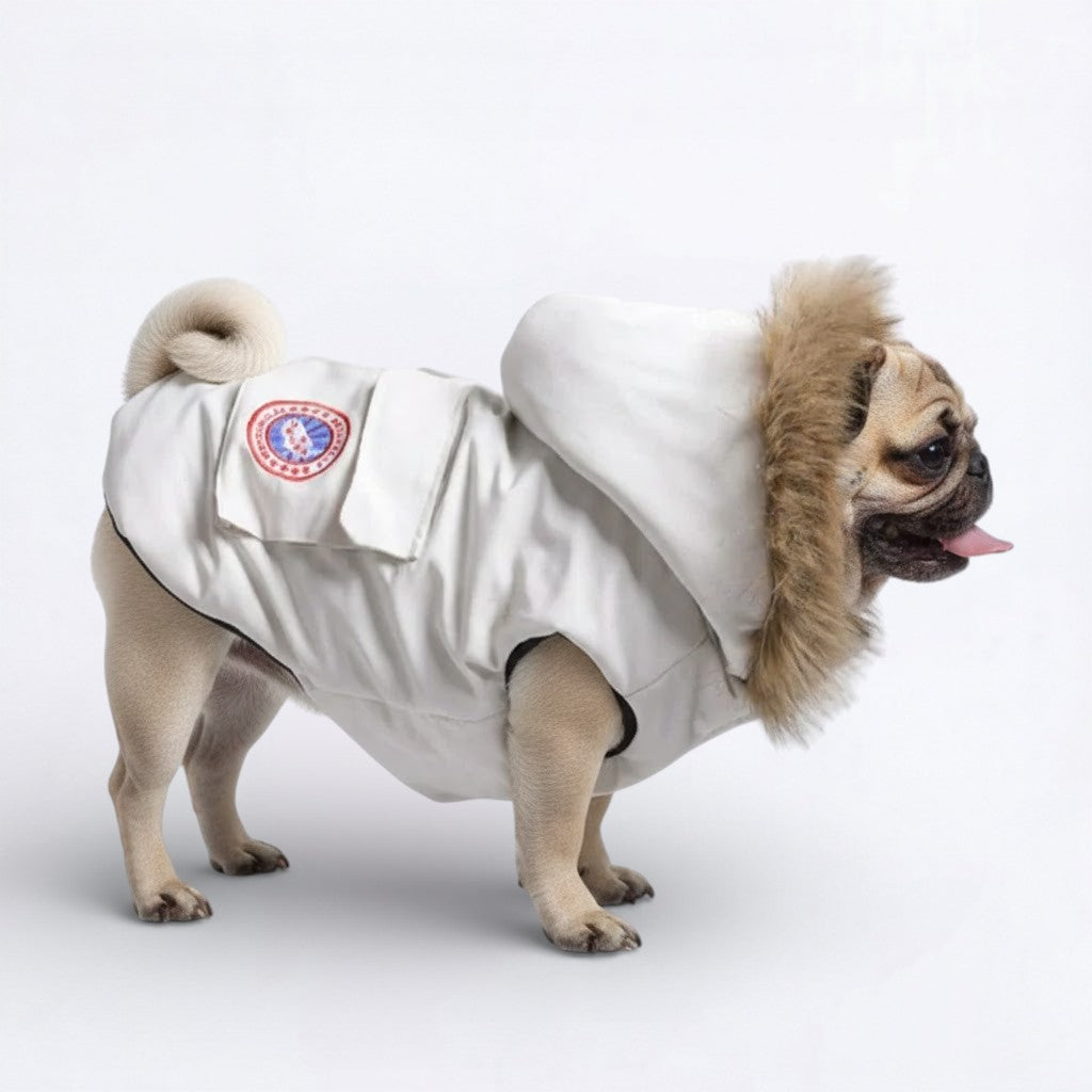 FrostPaw-Pug-Winter-Jacket.jpg