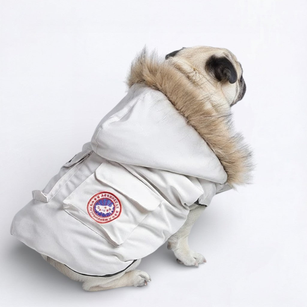 FrostPaw-Pug-Winter-Jacket.jpg