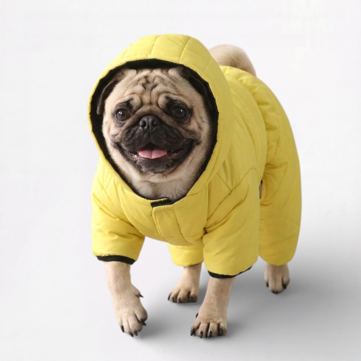 FrostPaw-Pug-Winter-Snowsuit.jpg