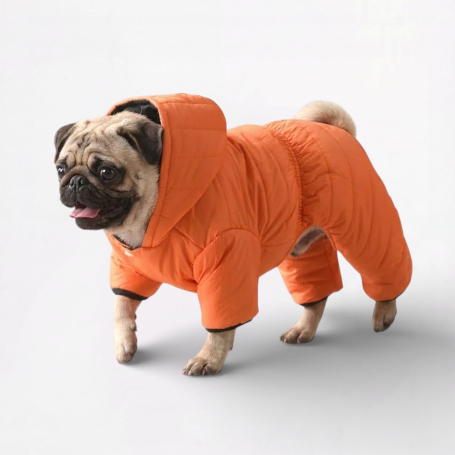 FrostPaw-Pug-Winter-Snowsuit.jpg