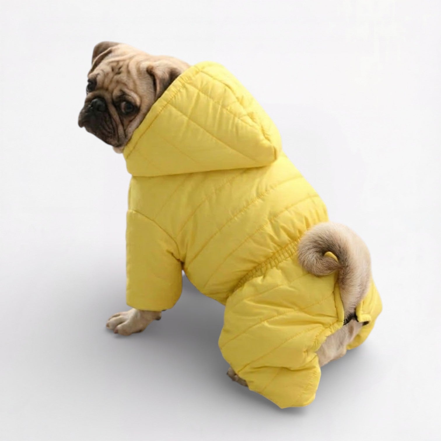 FrostPaw-Pug-Winter-Snowsuit.jpg