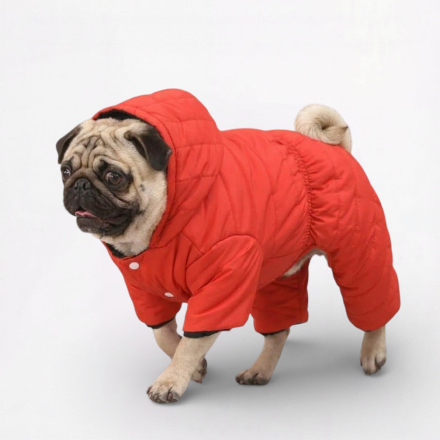FrostPaw-Pug-Winter-Snowsuit.jpg
