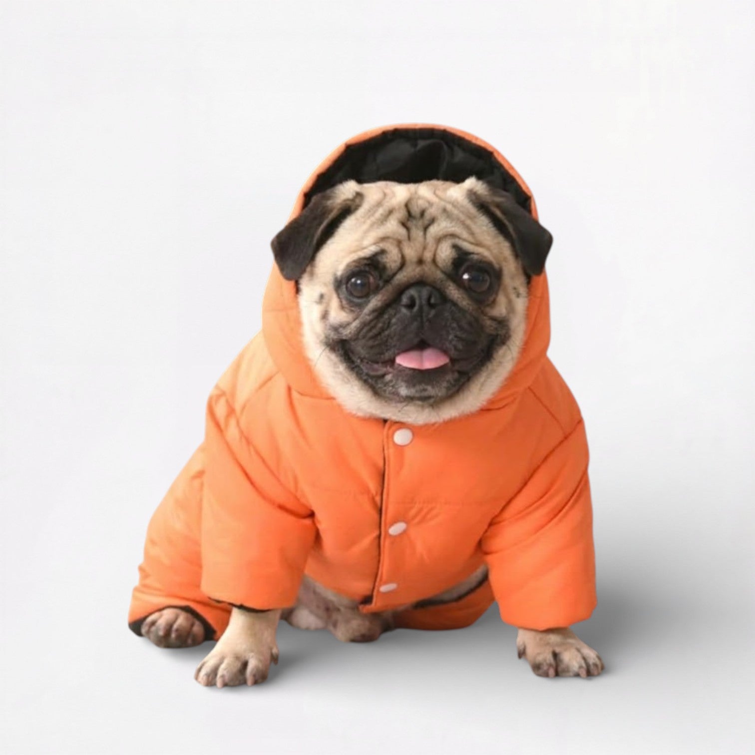 FrostPaw-Pug-Winter-Snowsuit.jpg
