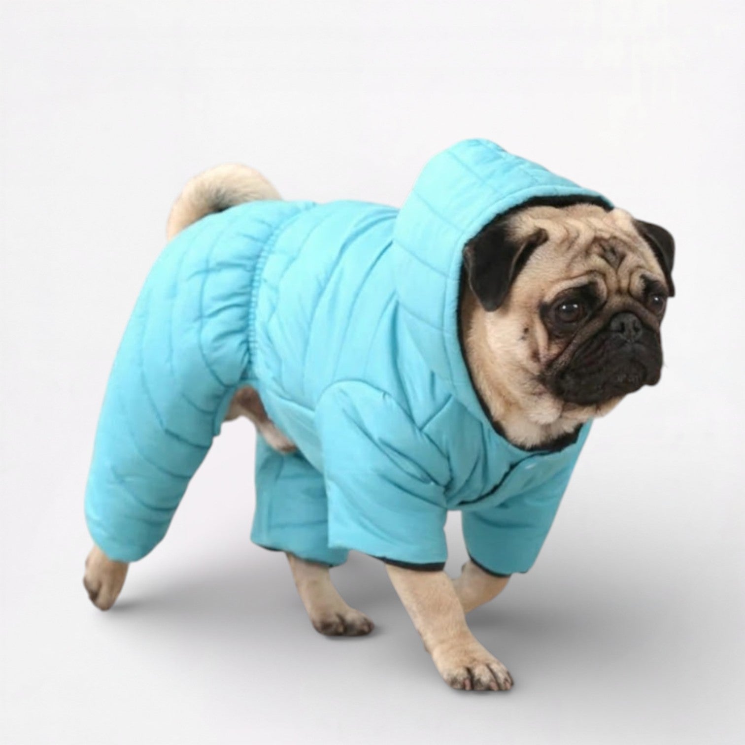 FrostPaw-Pug-Winter-Snowsuit.jpg
