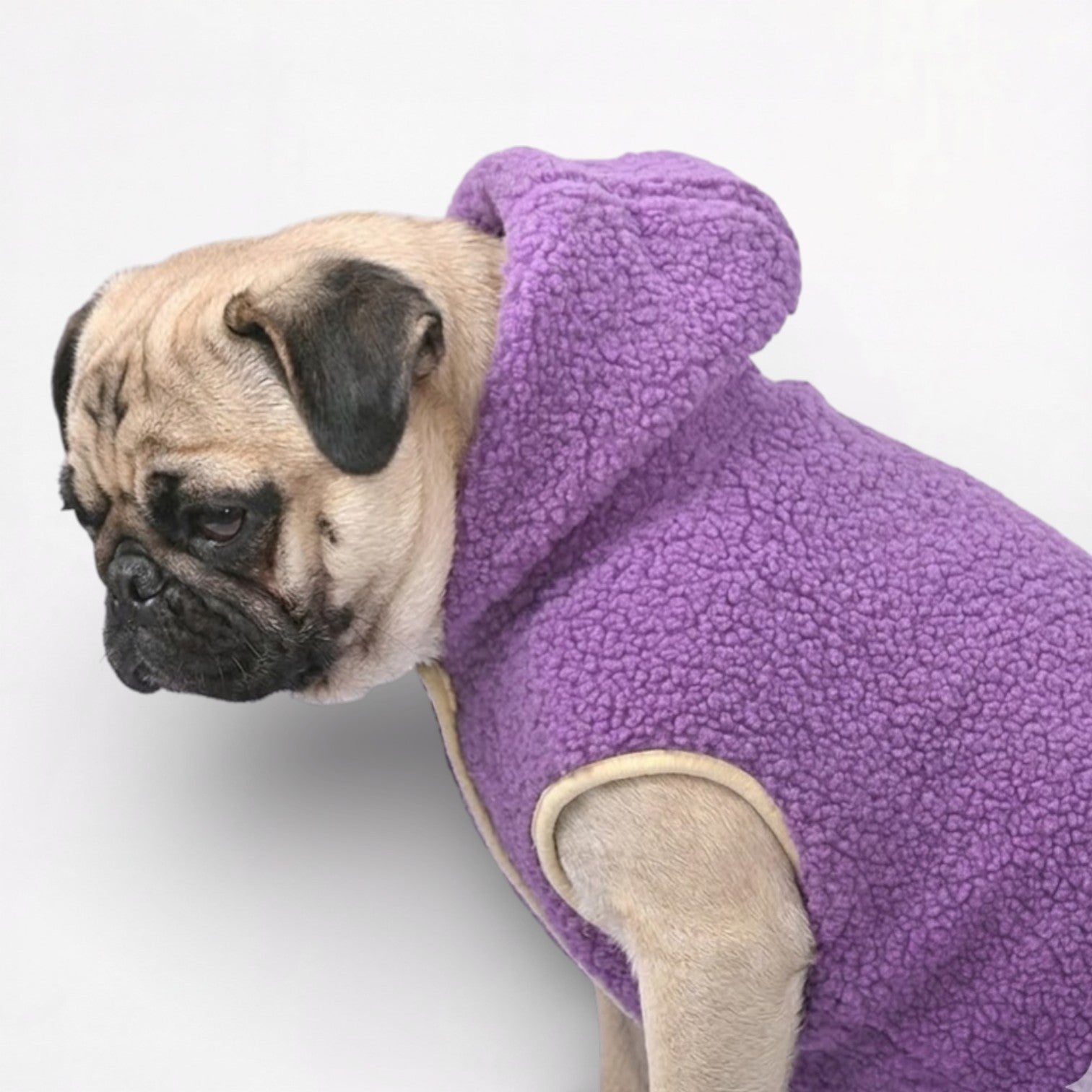 FrostPaw-Pug-Winter-Vest-Hoodie.jpg
