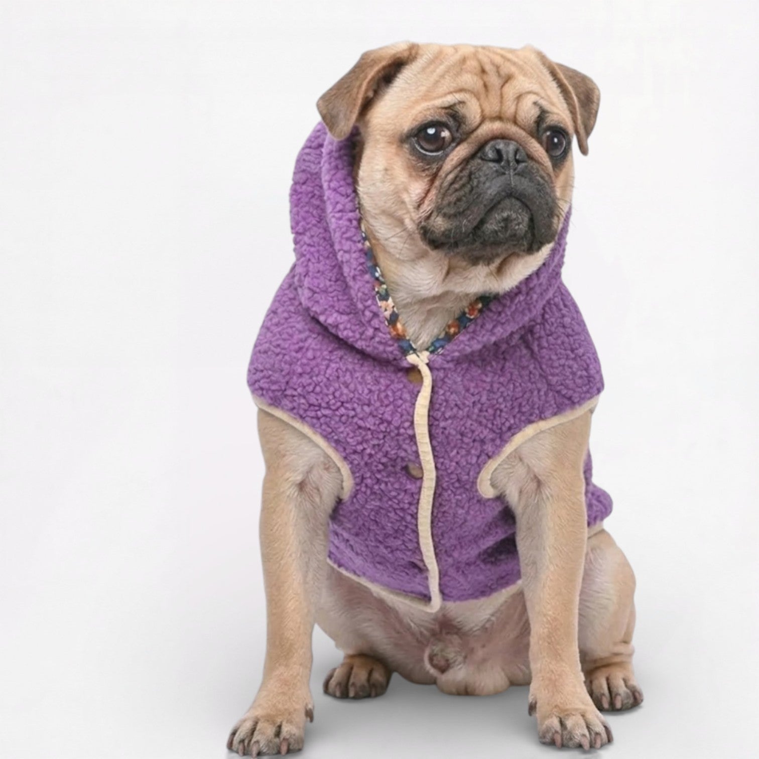 FrostPaw-Pug-Winter-Vest-Hoodie.jpg