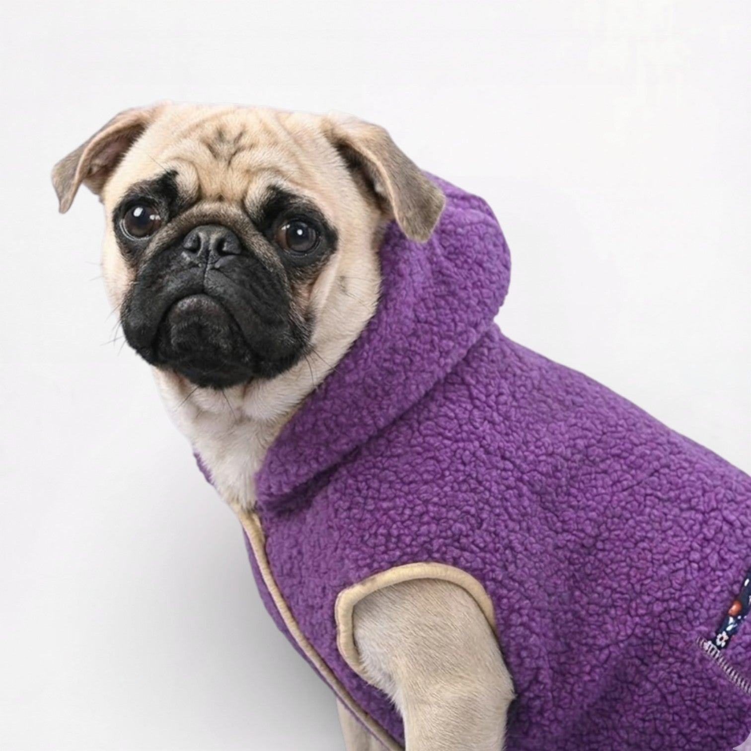 FrostPaw-Pug-Winter-Vest-Hoodie.jpg