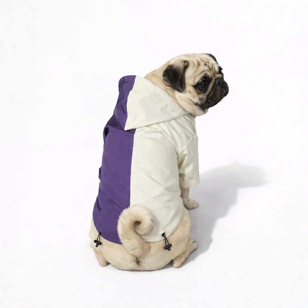FrostPeak-Pug-Raincoat.jpg