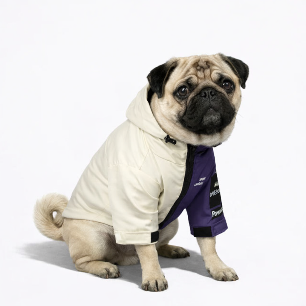 FrostPeak-Pug-Raincoat.jpg