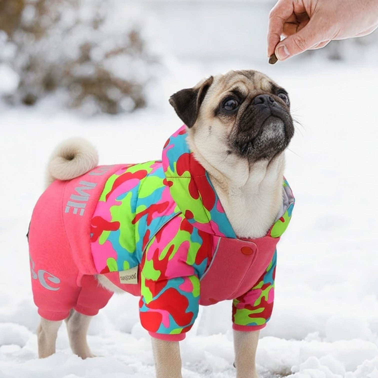 Frosta-Pug-Winter-Jumpsuits.jpg