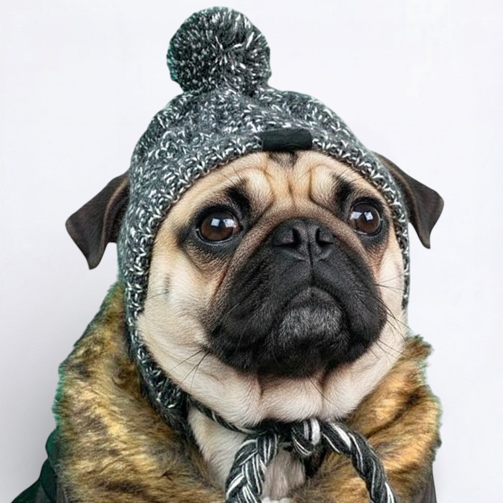 Frosti-Pug-Woolen-Winter-Cap.jpg