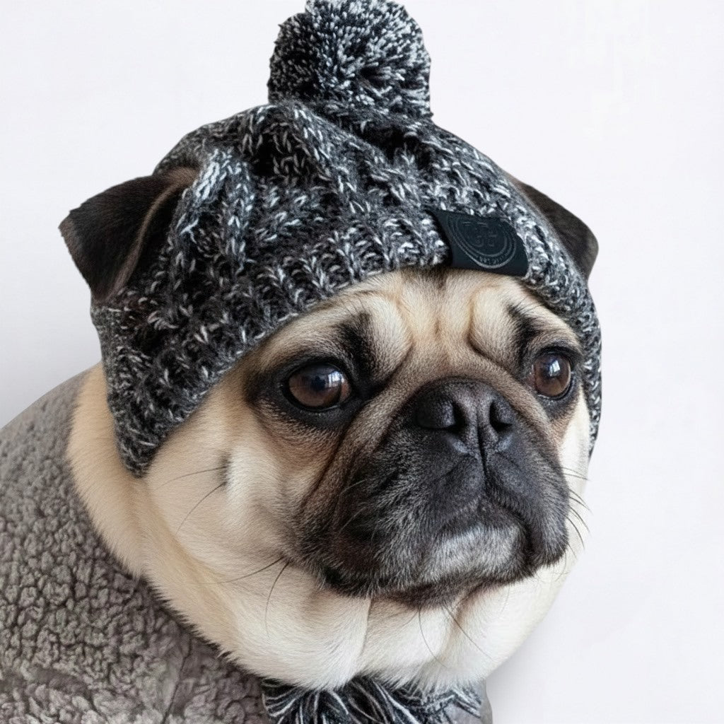 Frosti-Pug-Woolen-Winter-Cap.jpg