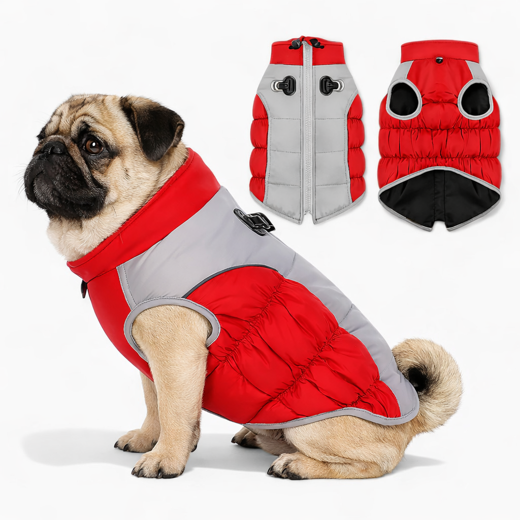 Furvex-Pug-Reflective-Winter-Jacket.jpg