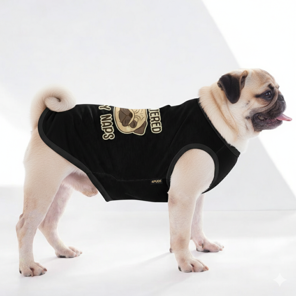 Bruno  – Pug Dog Shirt