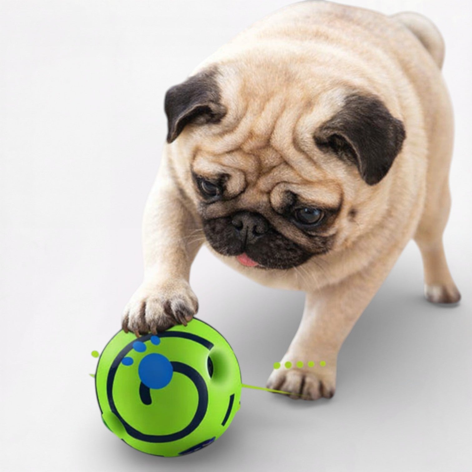 GigglePaw-Pug-Rolling-Ball-Toy.jpg