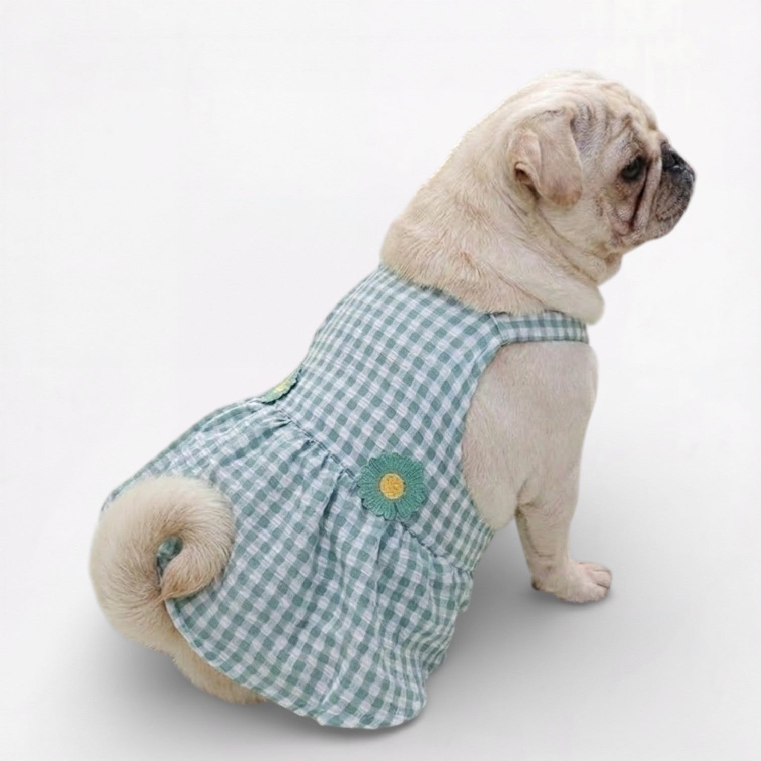 GingHam-Pug-Summer-Dress.jpg