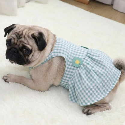 GingHam-Pug-Summer-Dress.jpg
