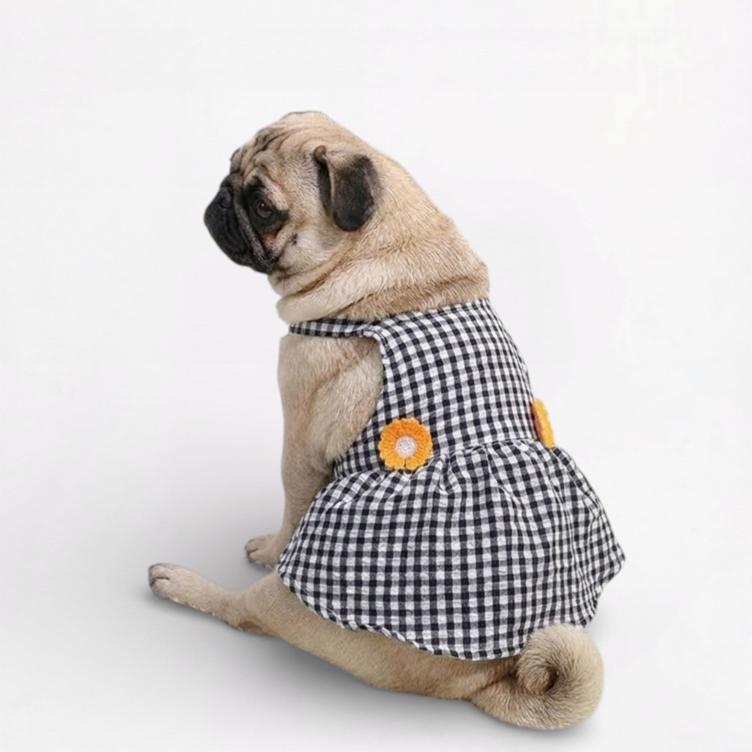 GingHam-Pug-Summer-Dress.jpg