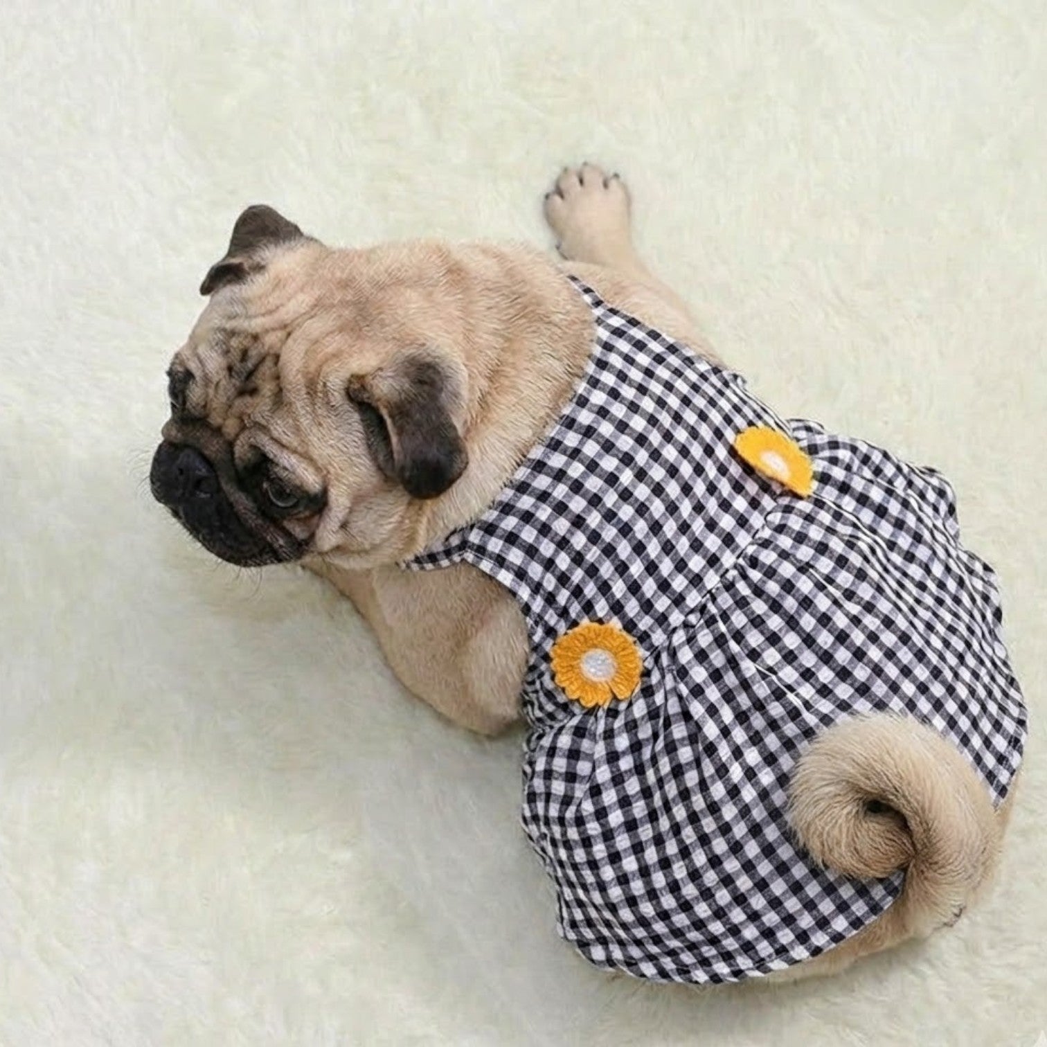 GingHam-Pug-Summer-Dress.jpg