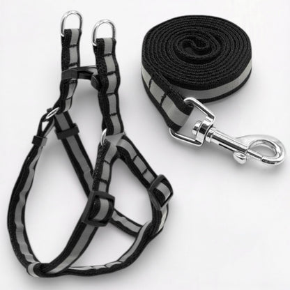 GlowPaw-Pug-Reflective-Harness-Leash-Set.jpg