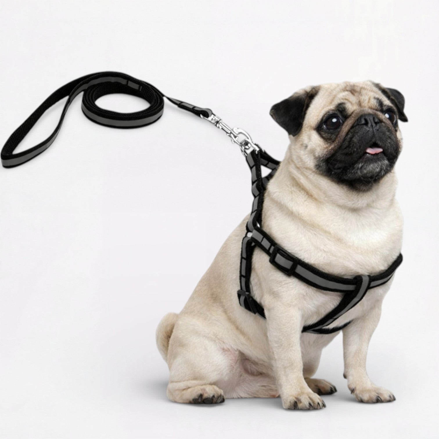 GlowPaw-Pug-Reflective-Harness-Leash-Set.jpg