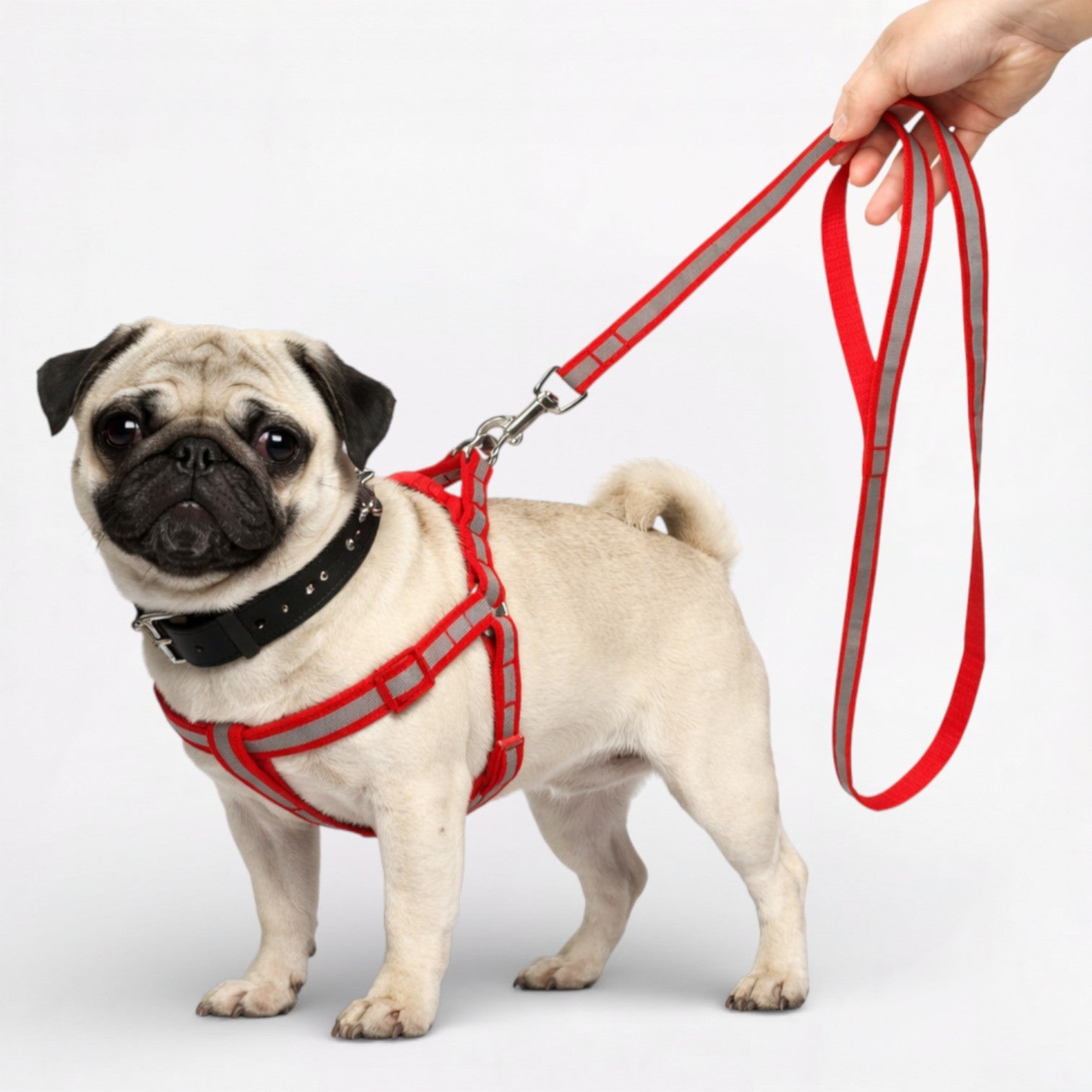 GlowPaw-Pug-Reflective-Harness-Leash-Set.jpg