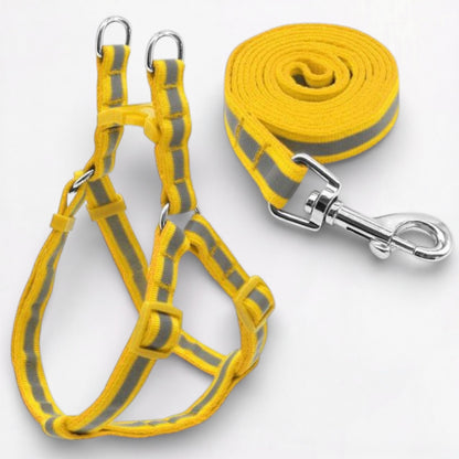 GlowPaw-Pug-Reflective-Harness-Leash-Set.jpg