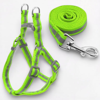 GlowPaw-Pug-Reflective-Harness-Leash-Set.jpg