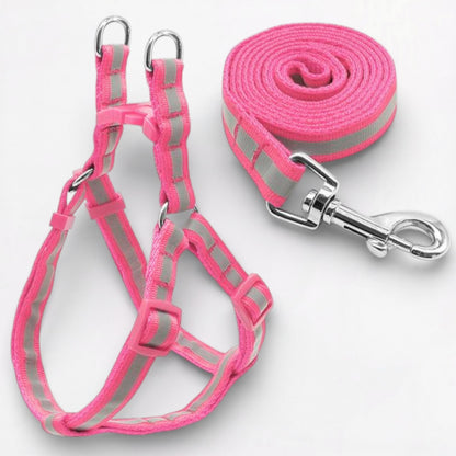 GlowPaw-Pug-Reflective-Harness-Leash-Set.jpg