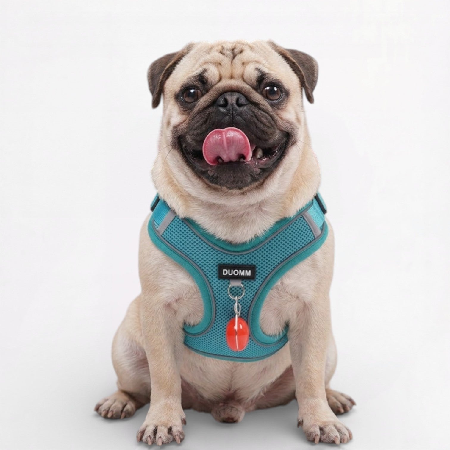 Glowva-Pug-No-Pull-Harness-Leash-Set.jpg