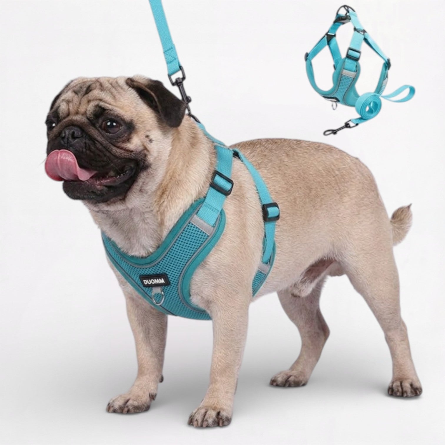 Glowva-Pug-No-Pull-Harness-Leash-Set.jpg