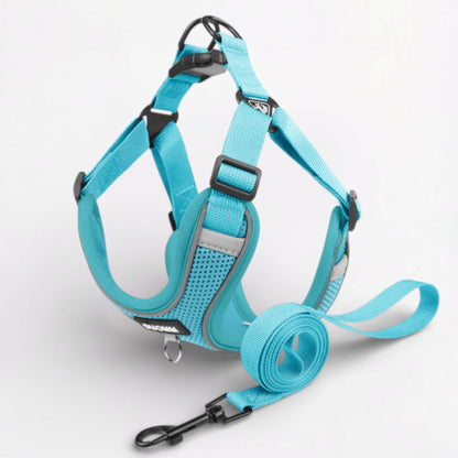 Glowva-Pug-No-Pull-Harness-Leash-Set.jpg