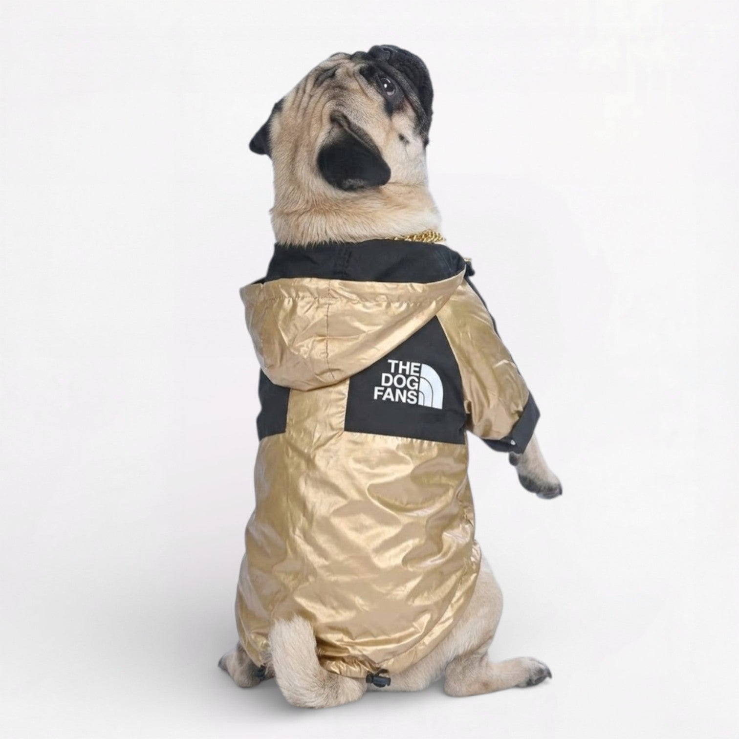 GoldShield-Pug-Luxury-Raincoat.jpg