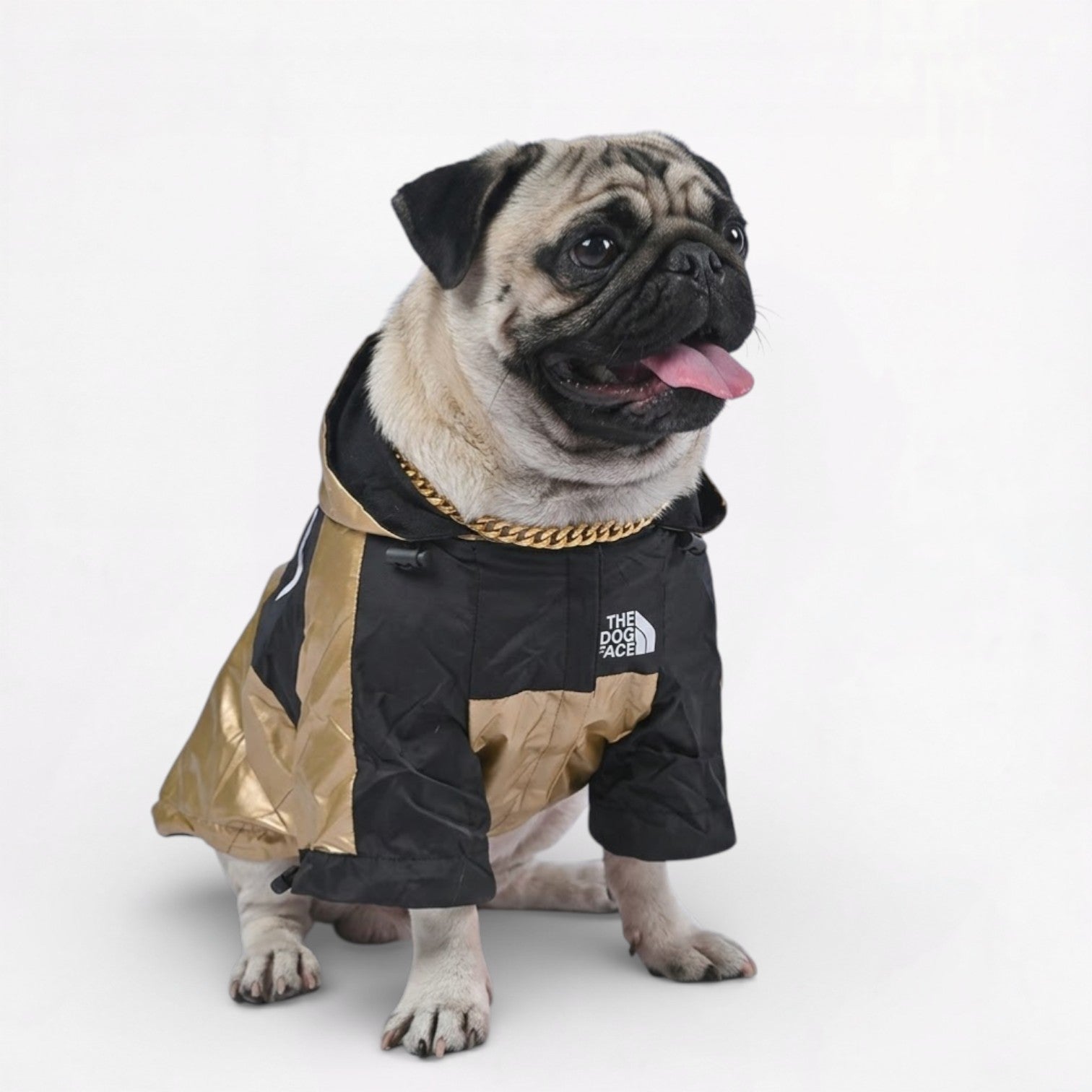 GoldShield-Pug-Luxury-Raincoat.jpg