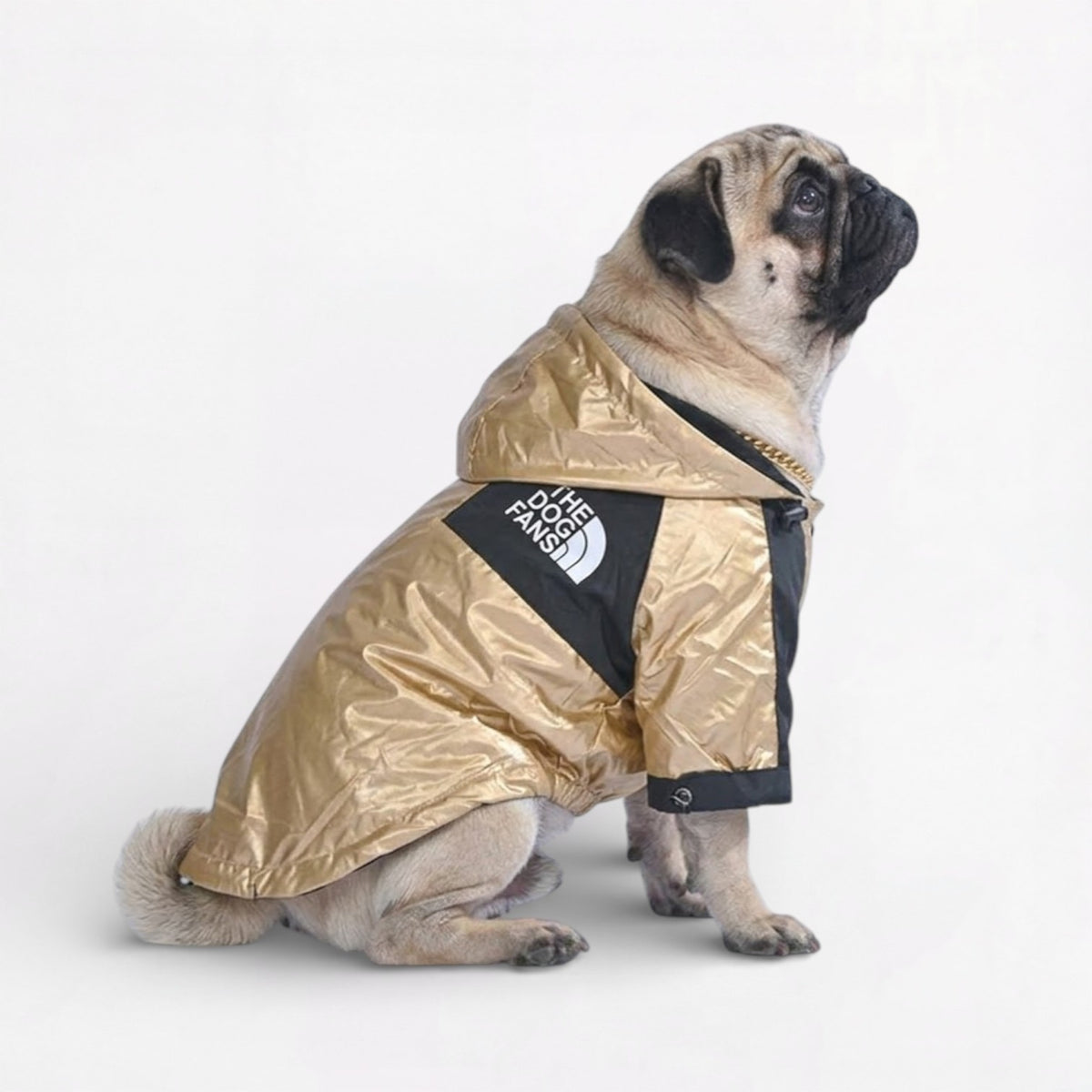 GoldShield-Pug-Luxury-Raincoat.jpg