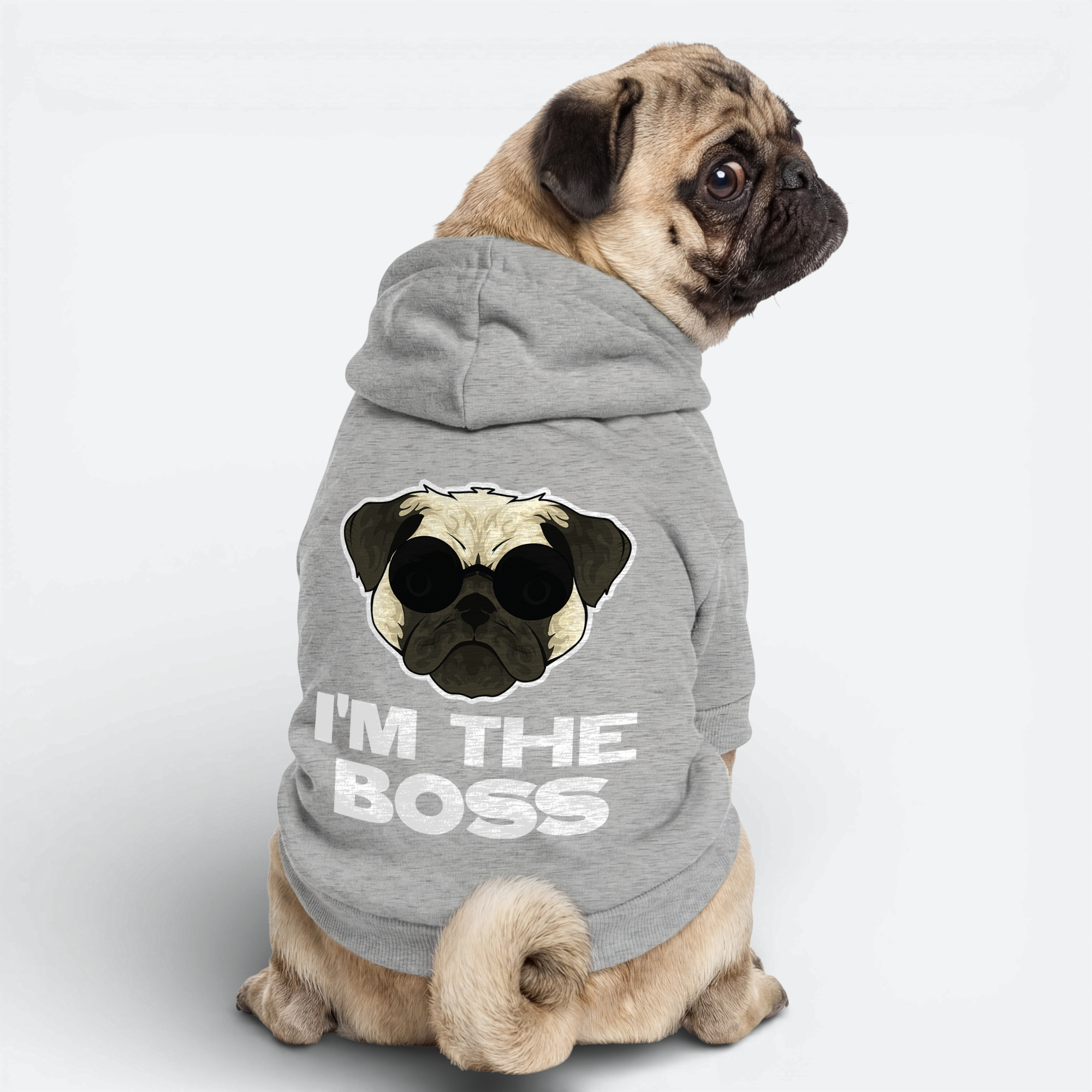 Ezra - Pug Cotton Hoodie