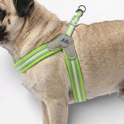 GripEase-Pug-No-Pull-Harness-Leash-Set.jpg