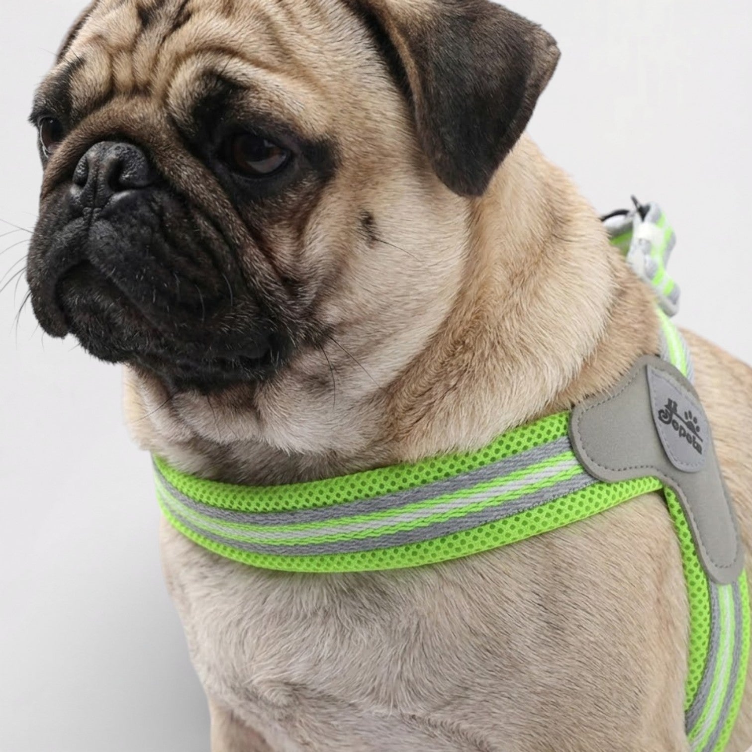 GripEase-Pug-No-Pull-Harness-Leash-Set.jpg