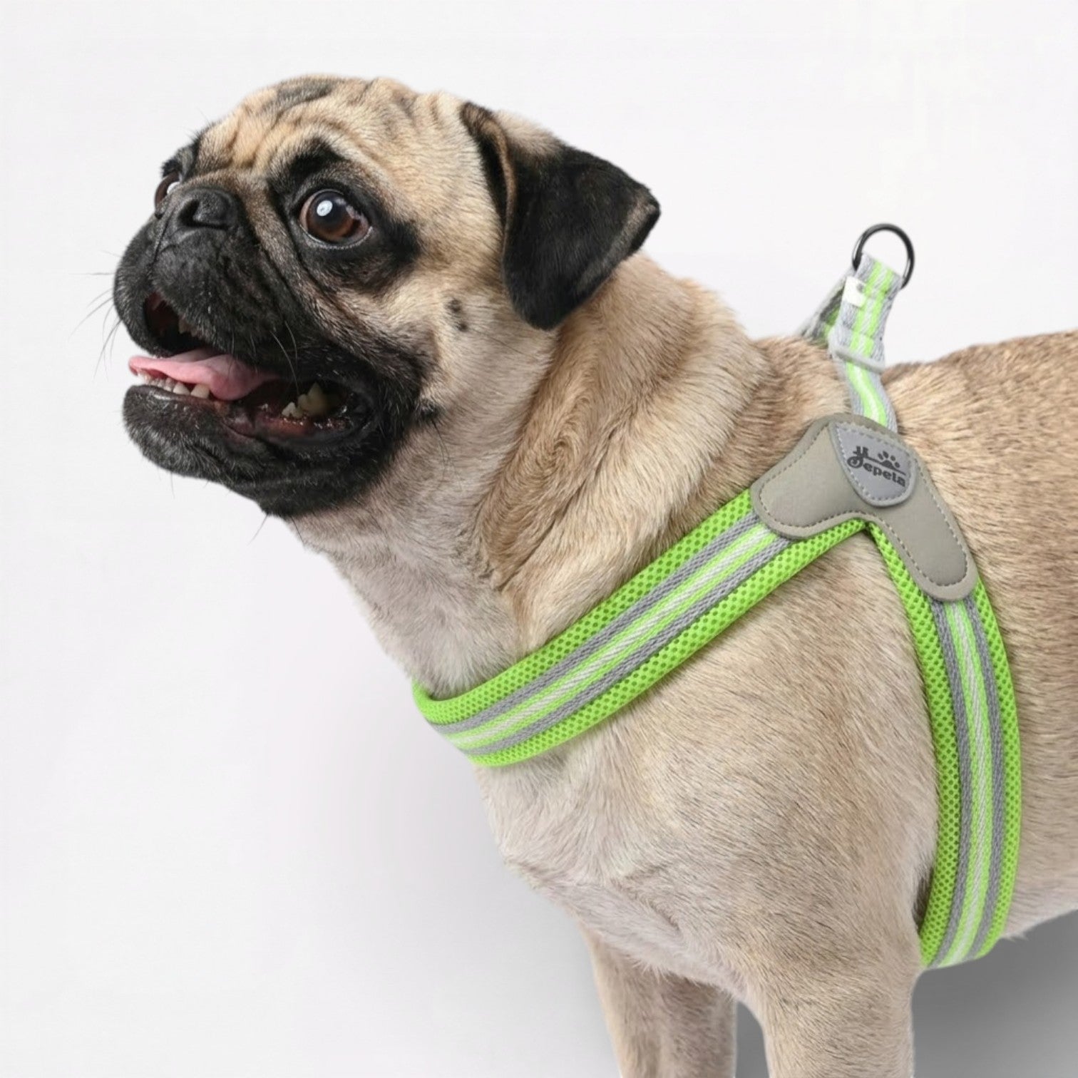 GripEase-Pug-No-Pull-Harness-Leash-Set.jpg