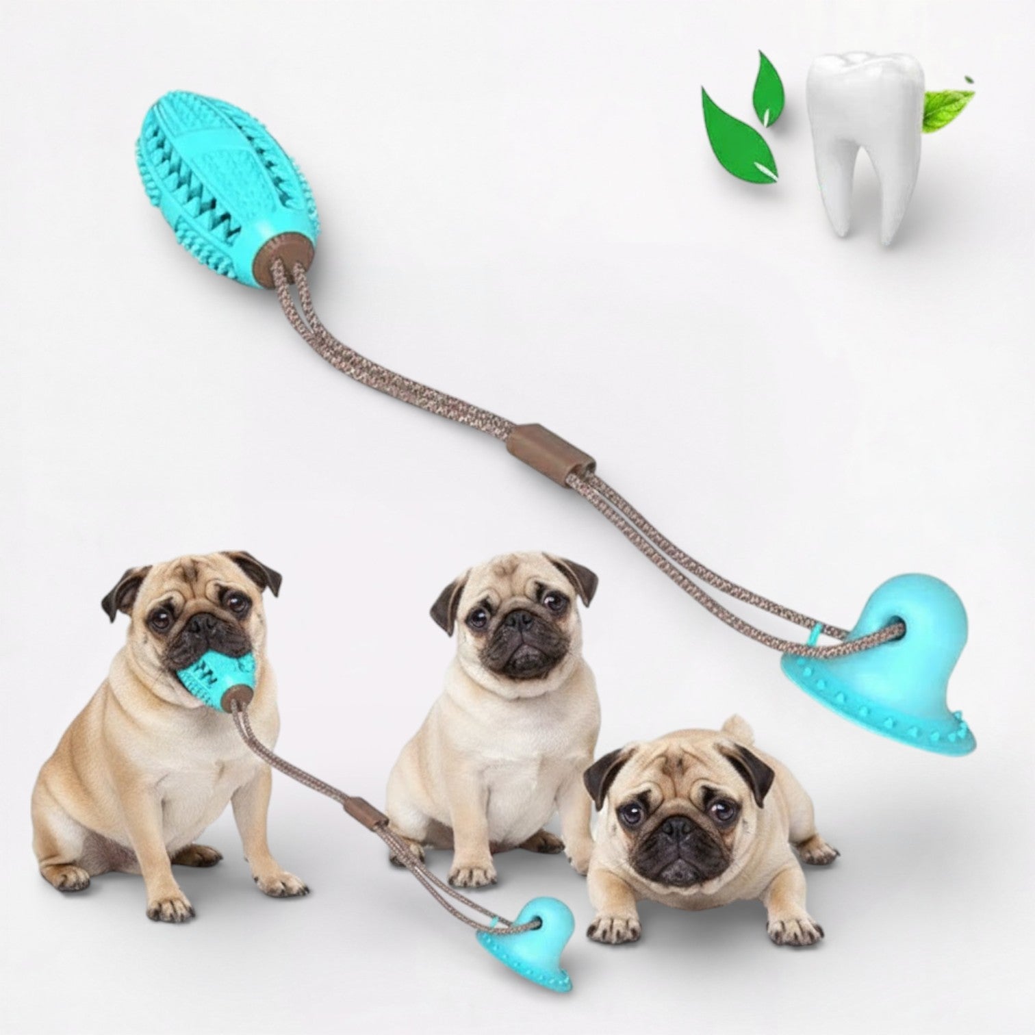 Gripzy-Pug-Suction-TugToy.jpg