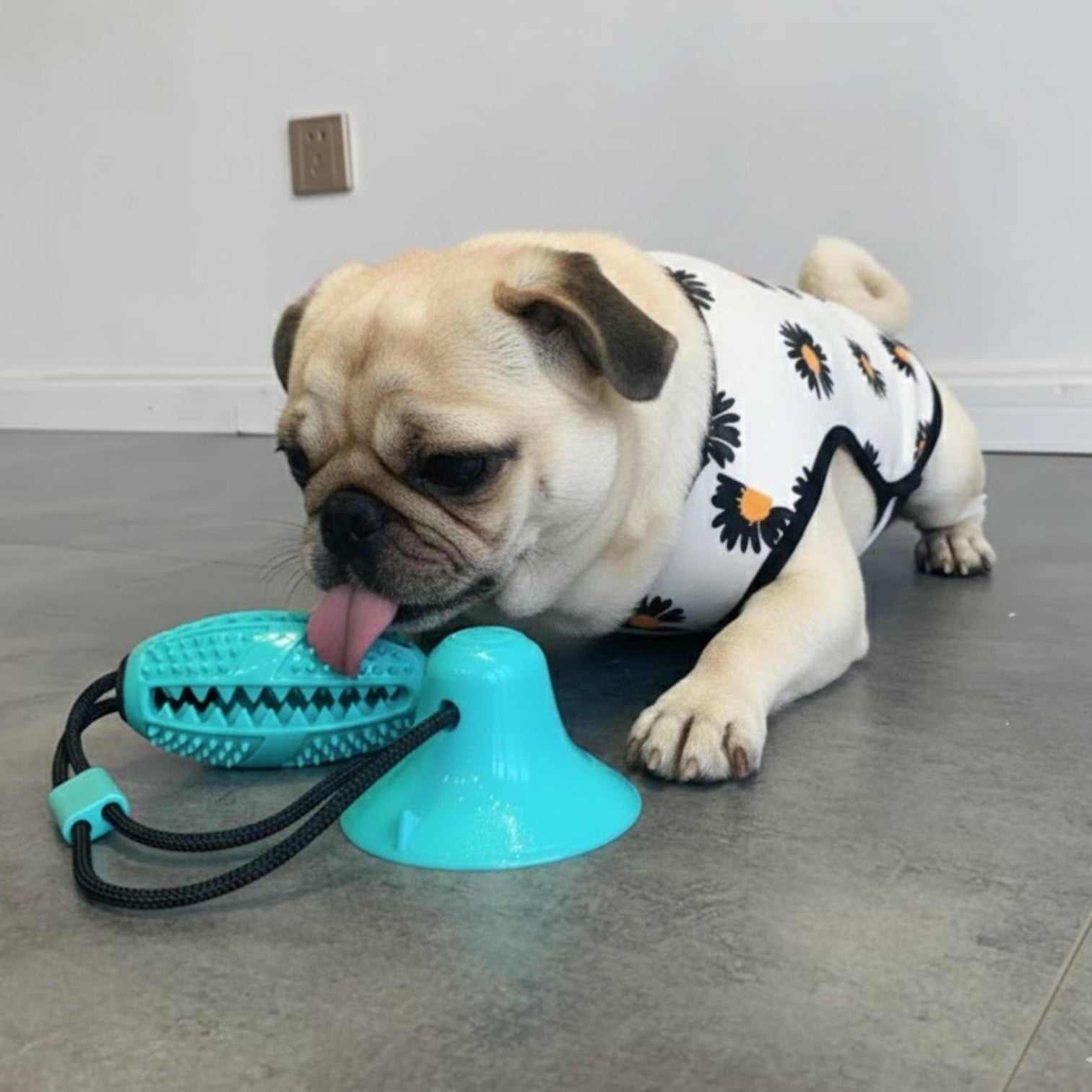 Gripzy-Pug-Suction-TugToy.jpg