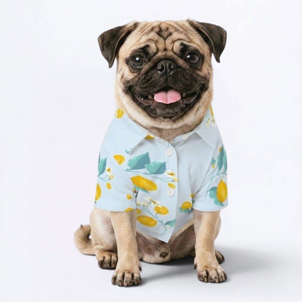 Milo - Pug Hawaiian Shirt