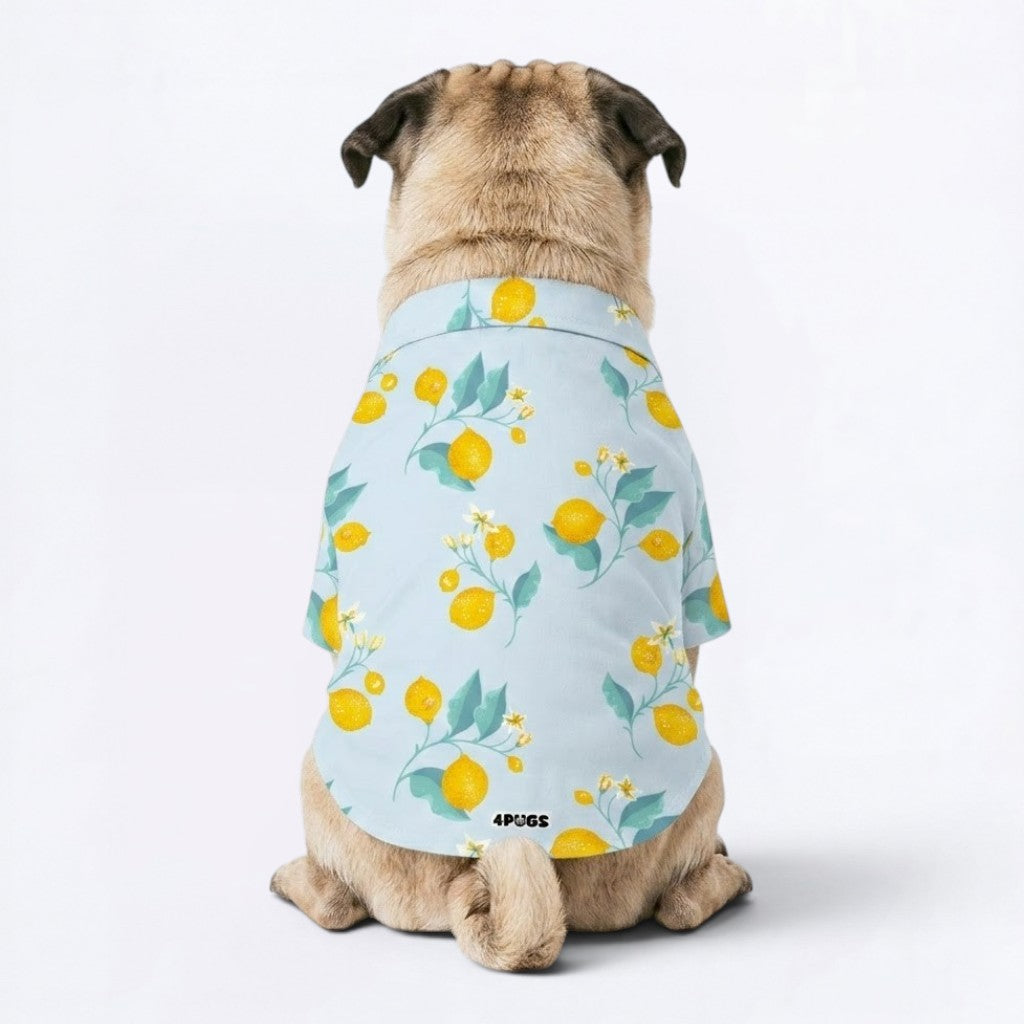 Milo - Pug Hawaiian Shirt